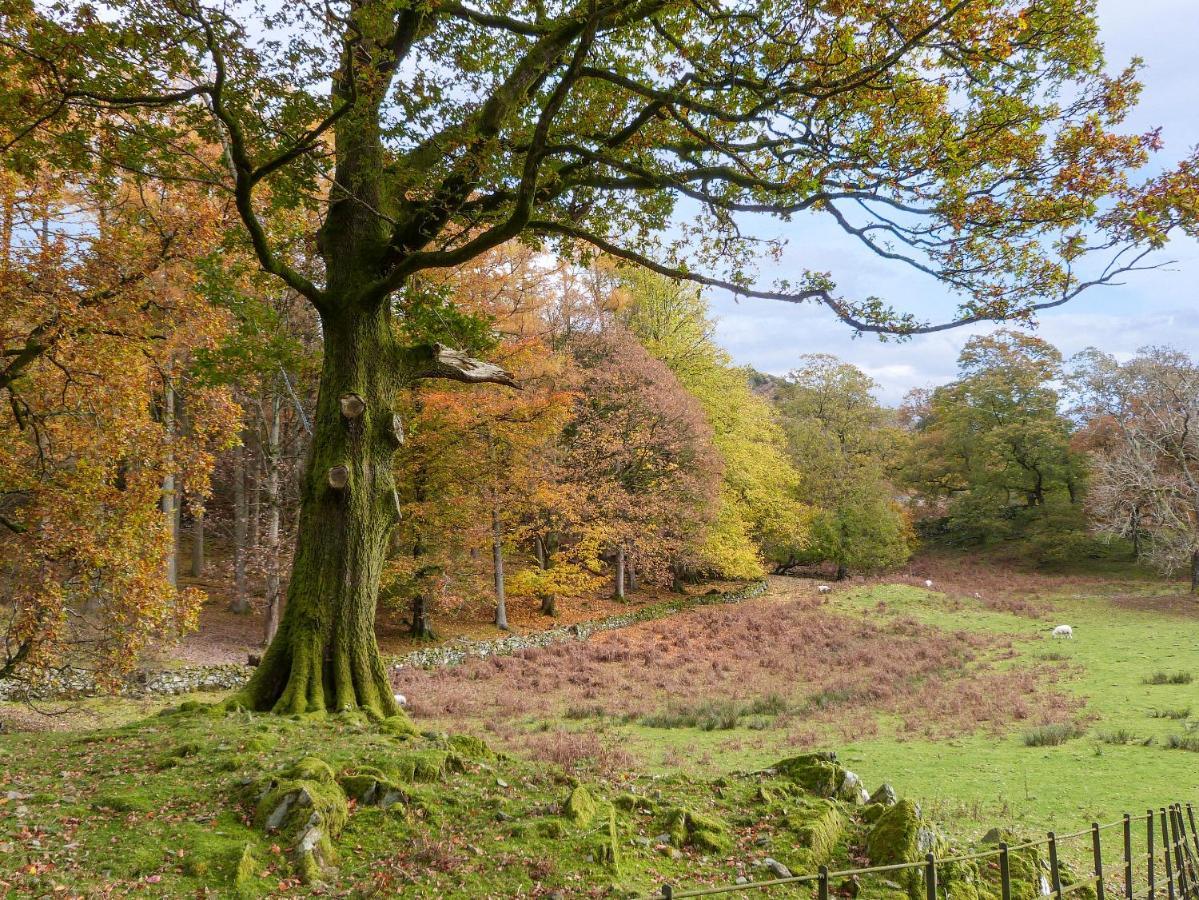 Yew - Woodland Cottages Bowness-on-Windermere Kültér fotó